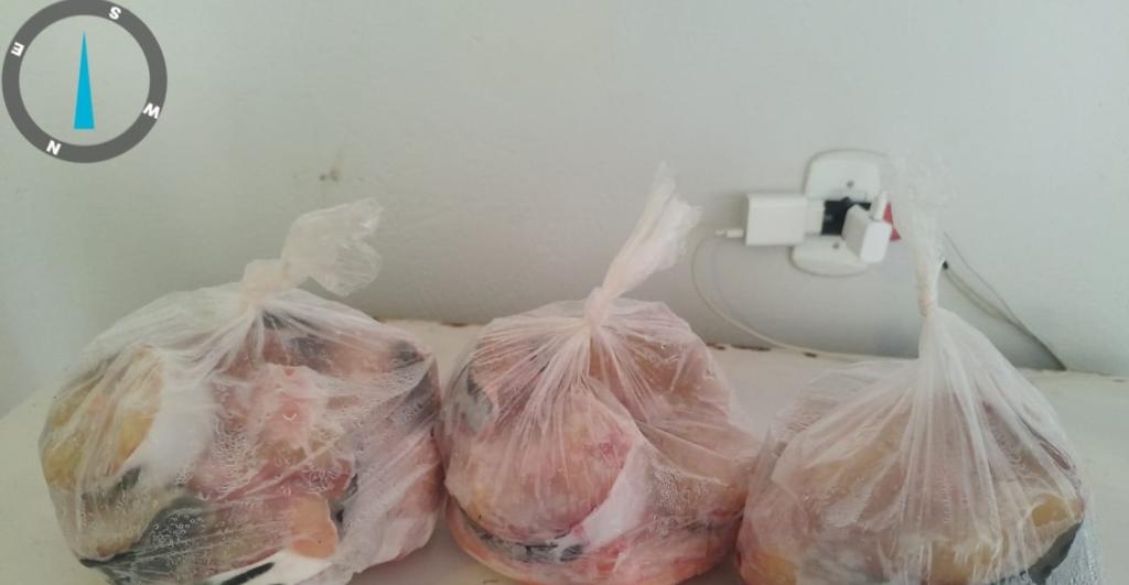 Sema e PM apreendem 6,8kg de cachara descaracterizada em Gacha do Norte