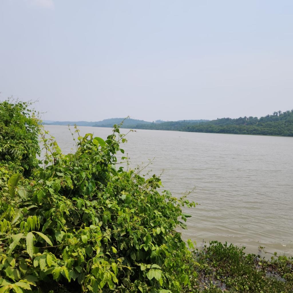 Oficinas de Diagn�stico do Plano de Recursos H�dricos da Bacia do Rio S�o Louren�o acontecem na pr�xima semana