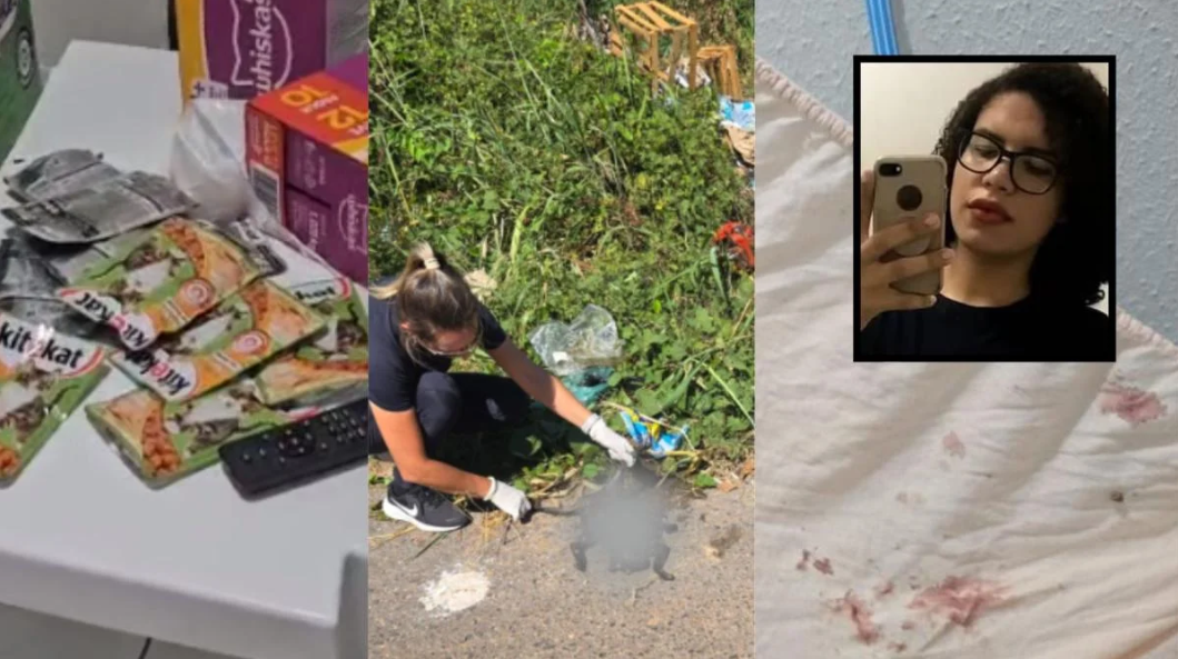 Justi�a cobra explica��es de defesa sobre viola��o de tornozeleira em caso de maus-tratos a animais