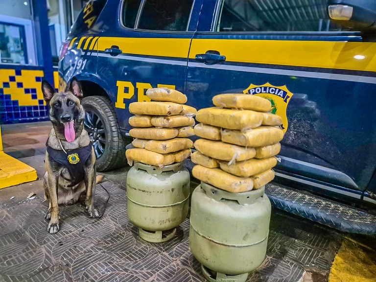 Fiscaliza��o da PRF em Rondon�polis flagra 23 kg de skunk escondidos em botij�es de g�s