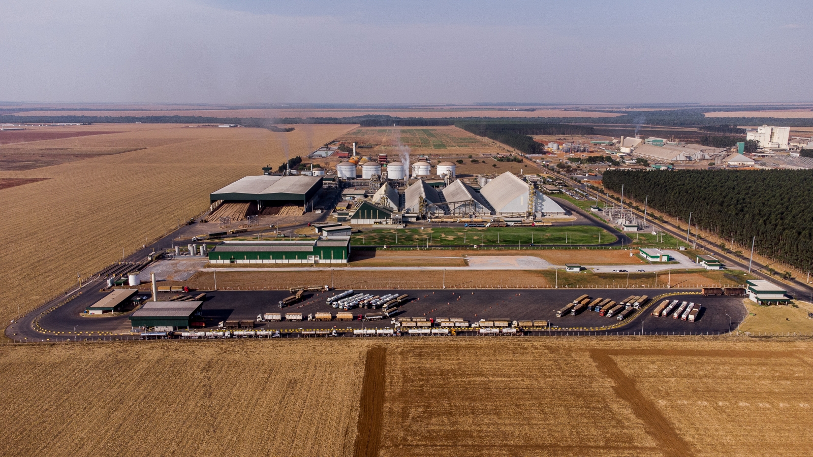 MT registra nova alta na previs�o do PIB de 2025 e permanece l�der em crescimento econ�mico do pa�s