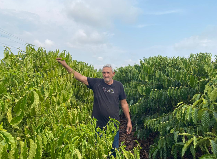 Com incentivo do Governo de MT, o produtor de Aripuan� colhe primeira safra de caf�