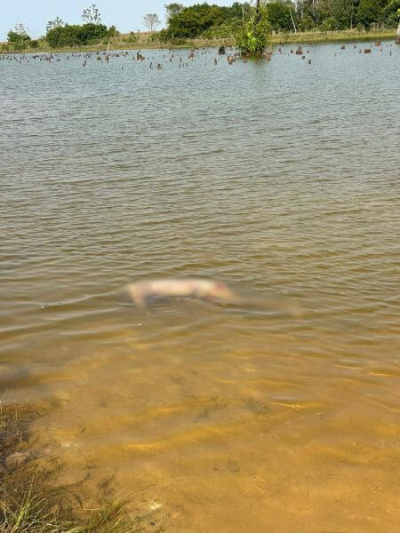 Corpo com marcas de viol�ncia � encontrado boiando na Lagoa das Gar�as em Sinop