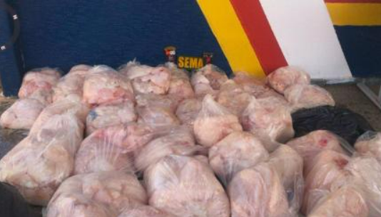 Dois homens s�o multados em quase R$ 300 mil por ca�a ilegal de jacar� e pescado em MT