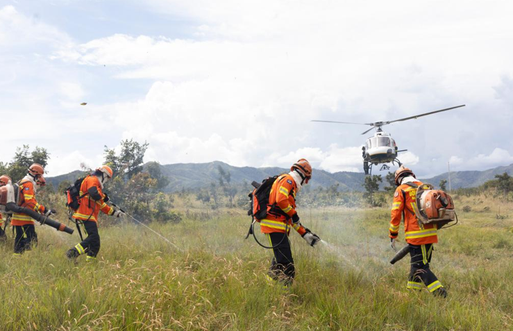 Corpo de Bombeiros combate 18 inc�ndios florestais neste domingo (5)