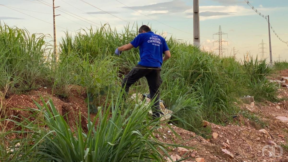 Corpo de jovem  encontrado com sinais de execuo na Rodovia dos Imigrantes
