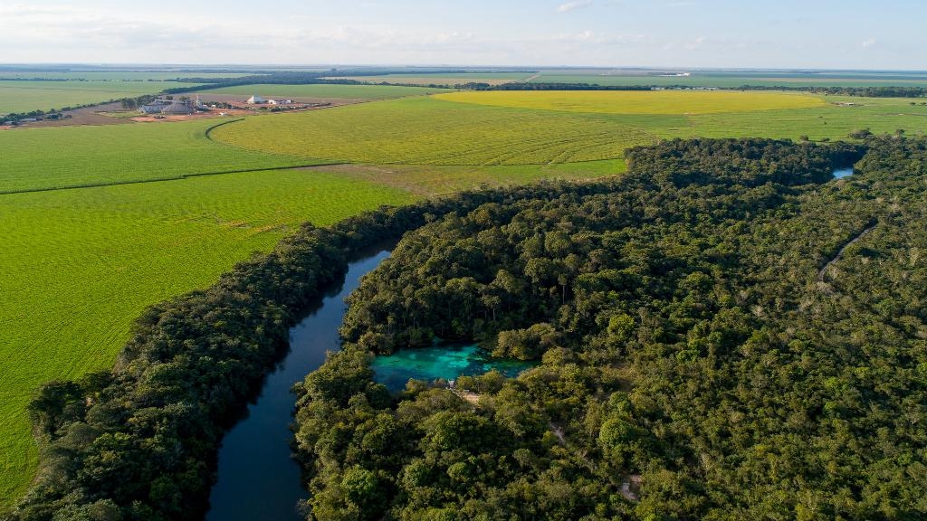 Governo do Estado e PCI promovem Seminrio Pr-COP 30 em Braslia