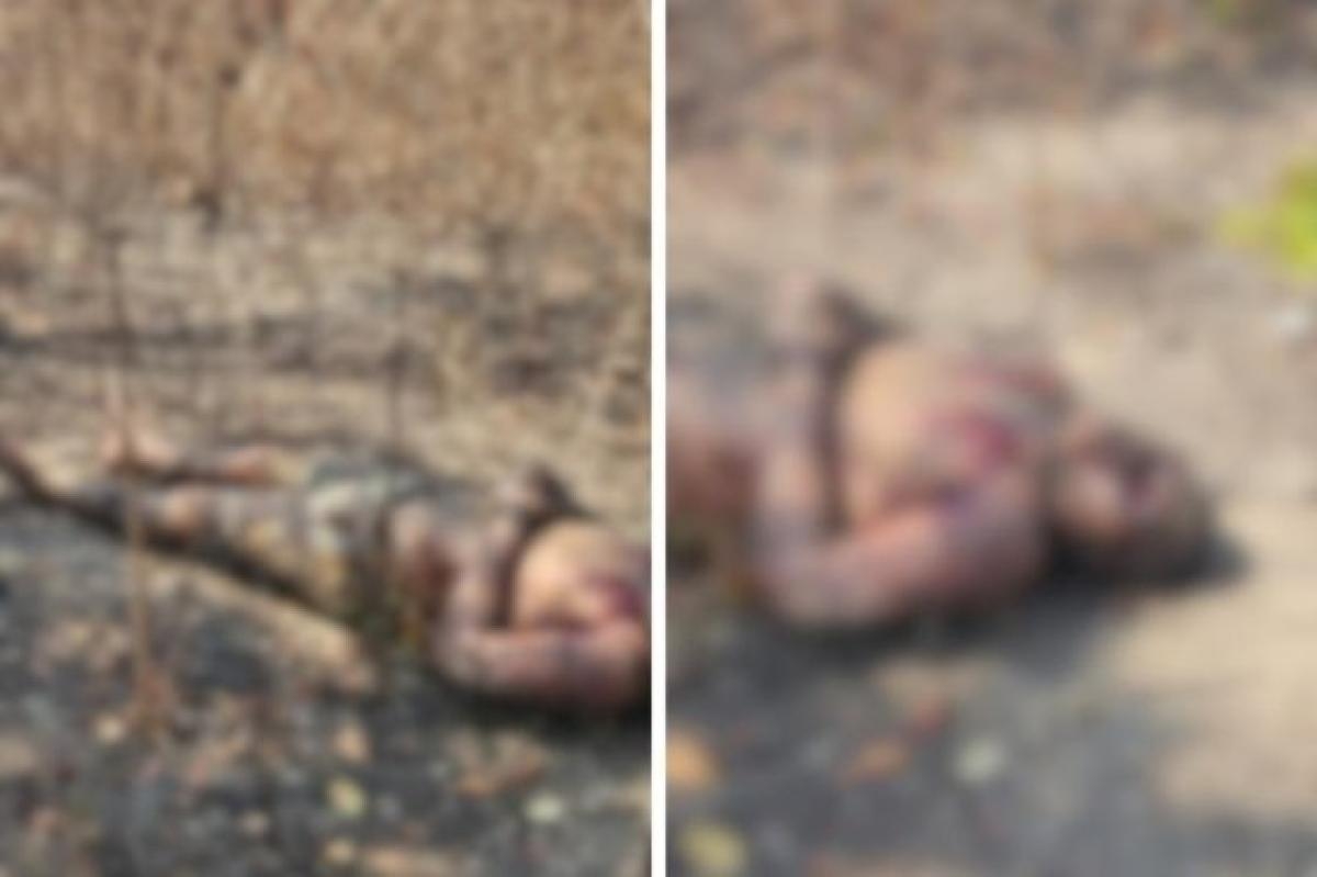 Homem sequestrado � encontrado morto com sinais de tortura em �rea de mata em Cuiab�