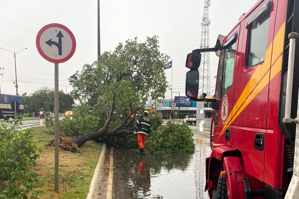 Corpo de Bombeiros libera vias bloqueadas por queda de rvores aps temporal