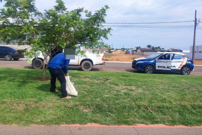 For�a T�tica prende suspeito de matar cachorro enforcado com aux�lio do Vigia Mais MT