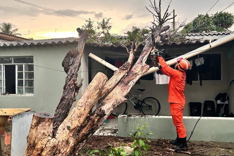 Corpo de Bombeiros remove rvore que caiu sobre residncia aps forte chuva em Primavera do Leste