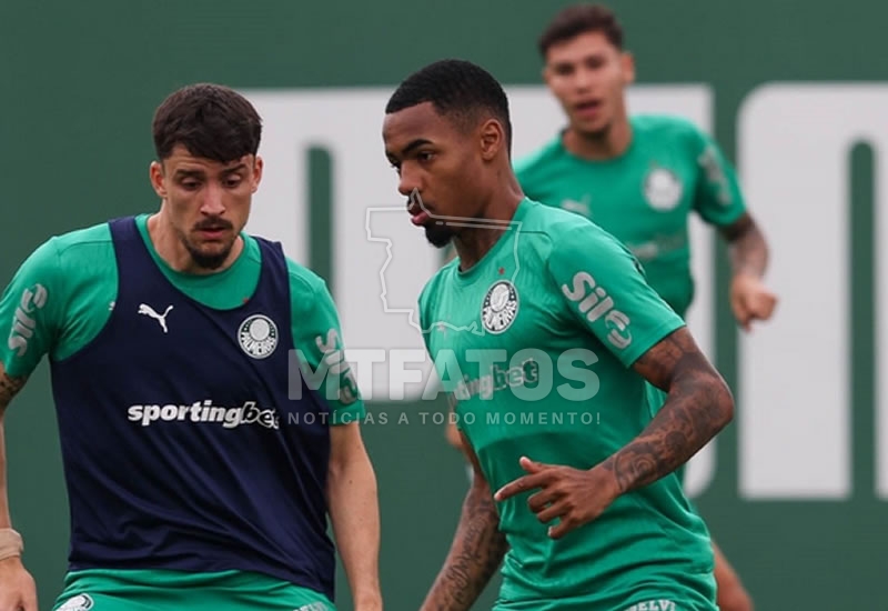 Palmeiras enfrenta a LDU na final da Libertadores 2025: saiba onde assistir 