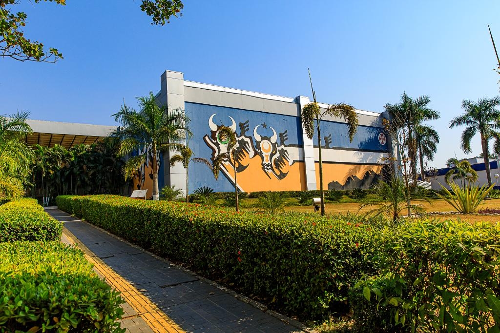 Governo de MT vai mostrar como aliar produo de alimentos e preservao ambiental na COP 30