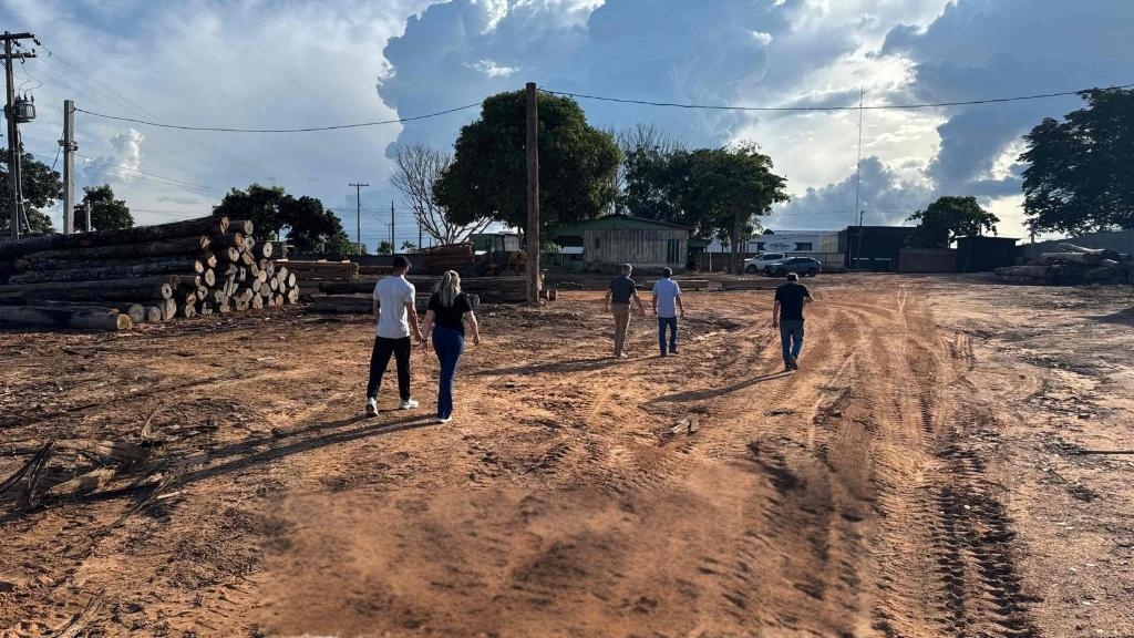 Pol�cia Civil deflagra 2� fase da investiga��o que apura crime de extra��o ilegal de madeira em Ju�na