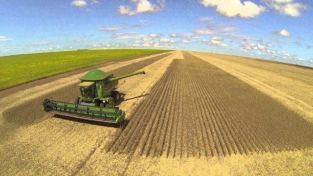 Mato Grosso retoma lideran�a nacional e impulsiona produ��o agropecu�ria em 2025