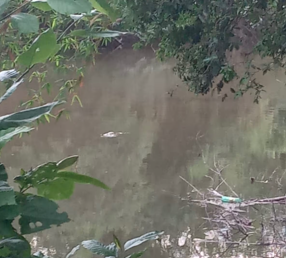 Marcas de sangue e corpo submerso mobilizam buscas no Rio Manduquinha
