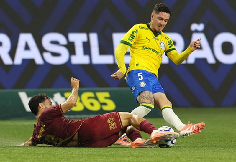 Palmeiras s� empata com o Fluminense e permite que o Flamengo amplie a vantagem no topo da tabela  