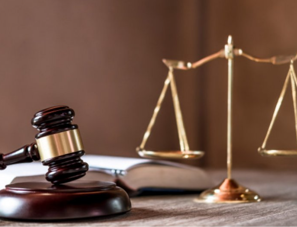 Justia condena homem que matou cachorra aps abusar sexualmente dela