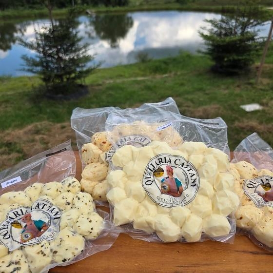 Golpista engana queijaria em MT e fam�lia de deputado perde R$ 10 mil em falsa venda de c�mara fria