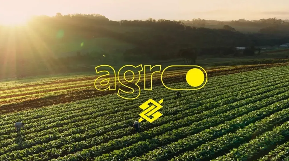 Safra 2025/26 ter� R$ 230 bilh�es do Banco do Brasil, apesar da queda no cr�dito ao agro