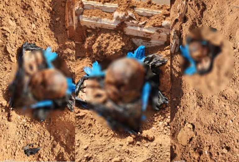 Pol�cia exuma corpo ap�s achar cabe�a humana pr�xima a sepultura em Alta Floresta