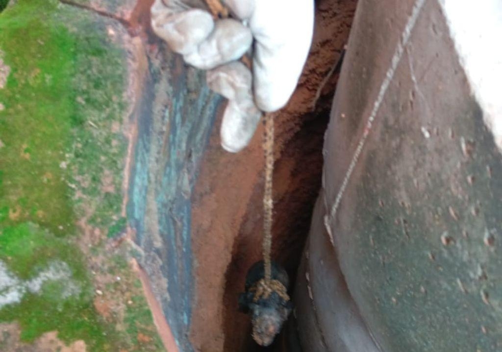 Bombeiros salvam filhote de cachorro que caiu em cisterna com �gua