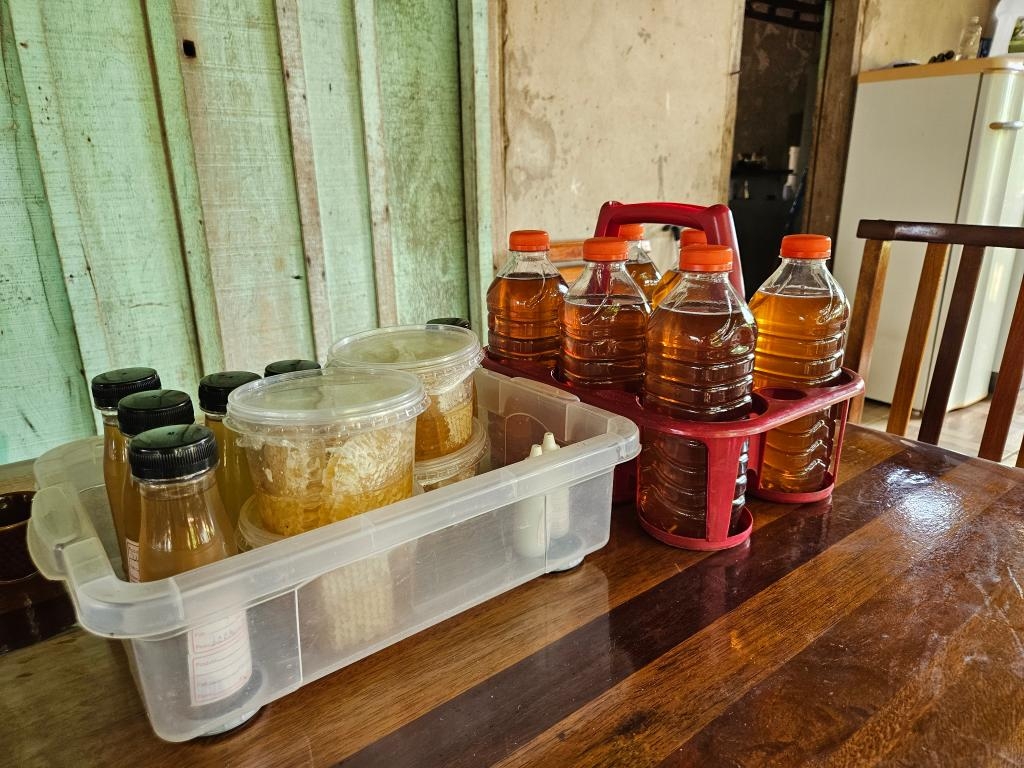 Produ��o de mel ganha for�a em Carlinda com apoio da Seaf e da Empaer e se torna alternativa de renda e conserva��o ambiental