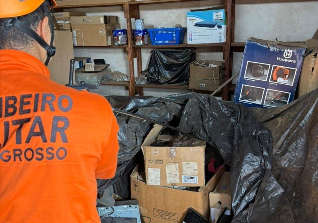 Bombeiros capturam jiboia em almoxarifado de empresa de transportes