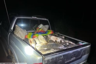 PM Ambiental apreende mais de 400 kg de pescado ilegal durante fiscaliza��o da Piracema em MT
