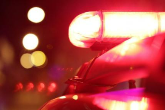 Bi�logo � baleado por garimpeiro ap�s ser confundido com porco-do-mato em ca�a