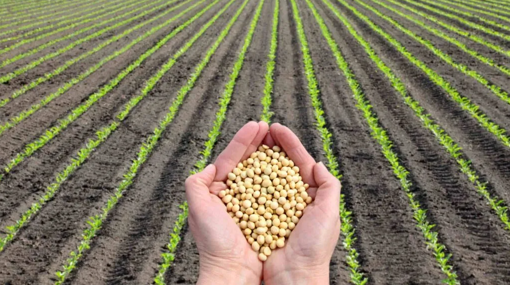 Nova funcionalidade da Agro Brasil + Sustent�vel habilita �reas de produ��o para mercados internacionais