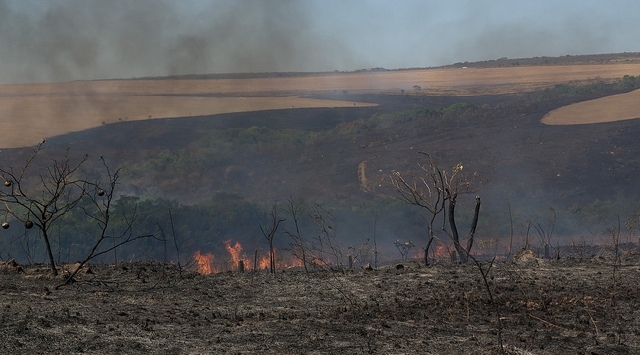 Queimadas despencam em Mato Grosso em 2025 e agosto tem queda hist�rica