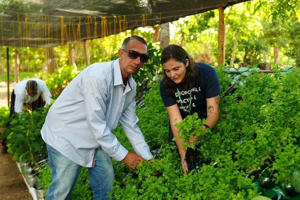 Parceria entre Setasc e Grupo Solar viabiliza horta hidrop�nica em instituto terap�utico de Cuiab�
