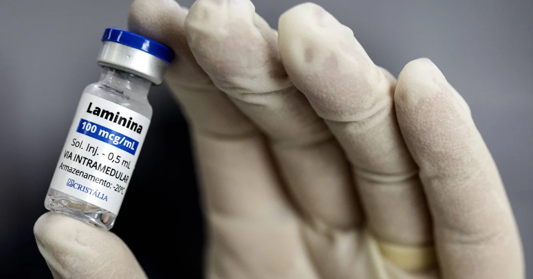 Anvisa autoriza primeiro estudo cl�nico com polilaminina para tratar les�es na medula espinhal