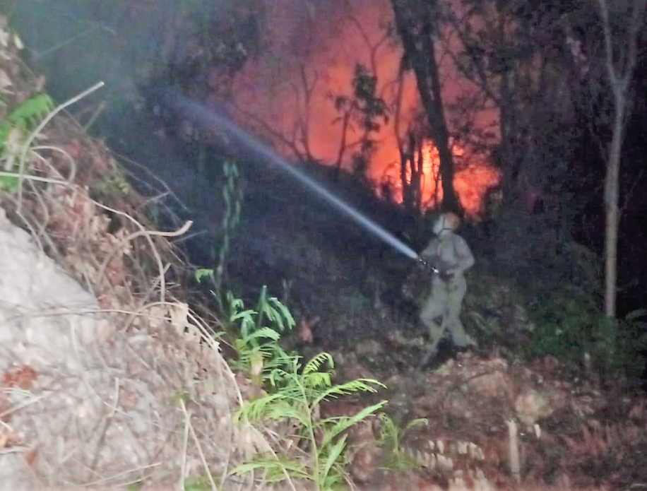 Bombeiros extinguem inc�ndio no Morro da Luz na regi�o central de Cuiab�