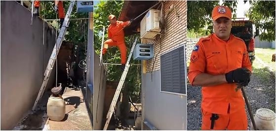 Bombeiros resgatam jiboia escondida no forro de casa em Cuiab�(V�deo)