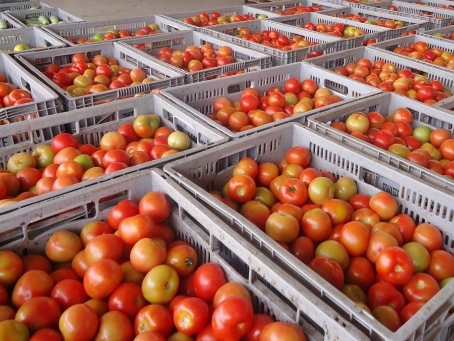 Alta do tomate e da batata empurra cesta b�sica para R$ 809,75 em Cuiab�