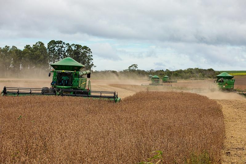 Mesmo com ajustes na safra, MT mant�m lideran�a nacional com apoio de incentivos e cr�dito