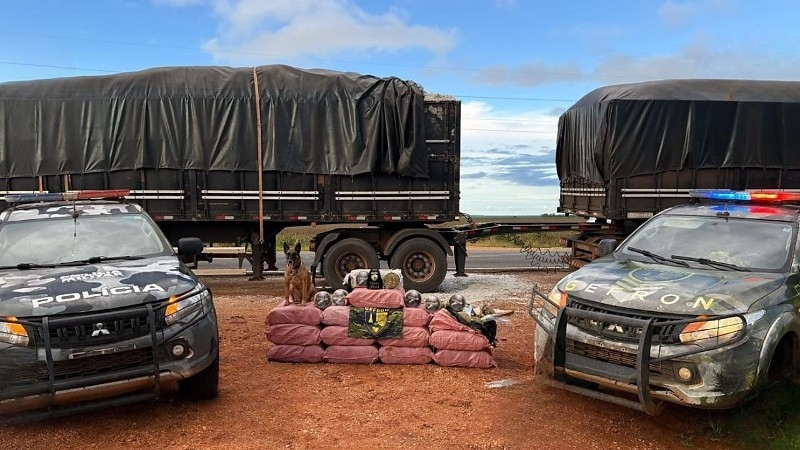Pol�cia apreende mais de 400 kg de skank escondidos em carreta