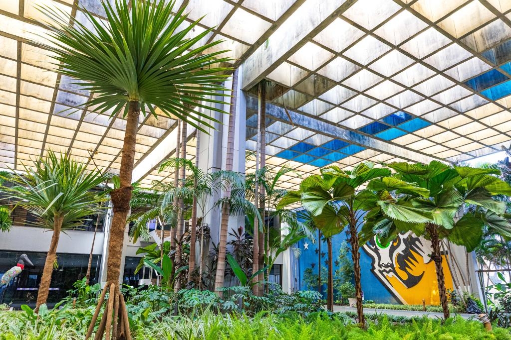 Governo de MT fortalece microcervejarias e reduz ICMS na cadeia do p�o franc�s