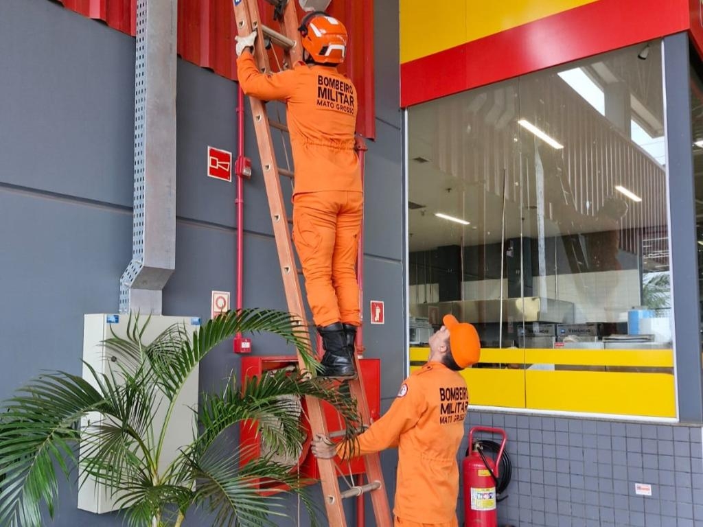 Bombeiros resgatam jupar� que estava em estrutura de supermercado em Confresa