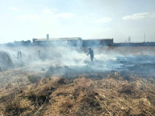 Governo decreta situa��o de emerg�ncia por causa de inc�ndios