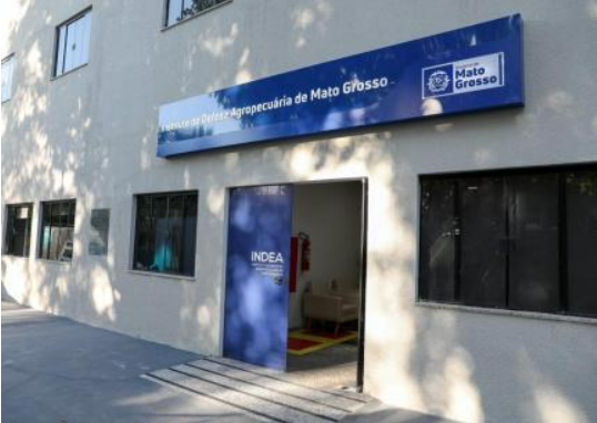 Indea confirma caso de raiva bovina em Porto Estrela