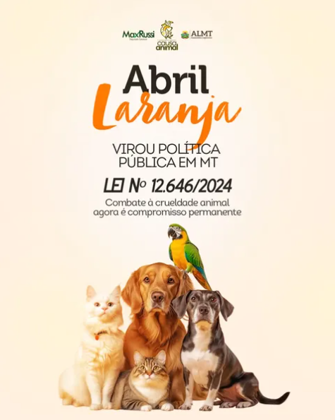 Lei de autoria de Max Russi fortalece campanha Abril Laranja contra maus-tratos aos animais em MT