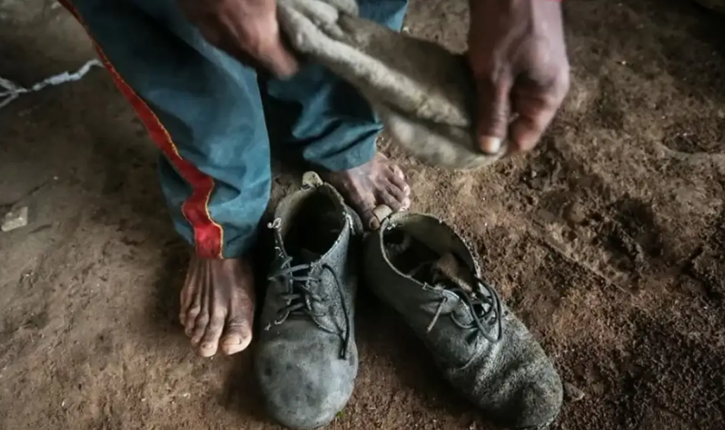 MTE atualiza lista suja do trabalho escravo e inclui BYD e cantor Amado Batista