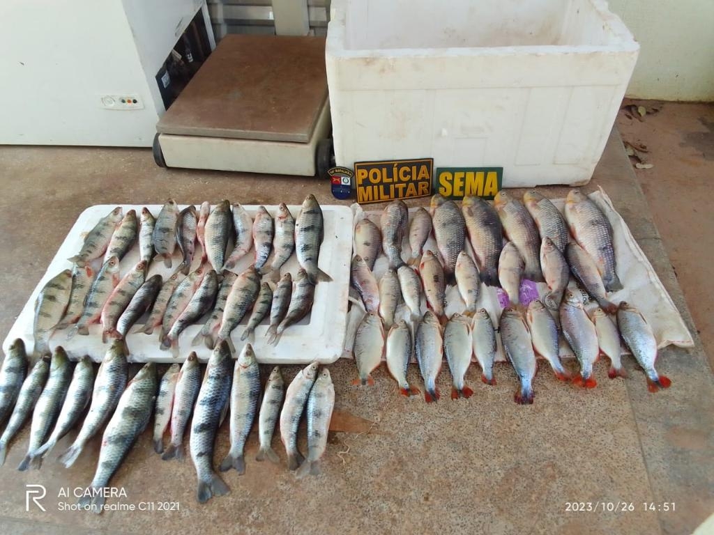 Sema-MT apreende 20 kg de pescado ilegal em Santo Ant�nio de Leverger