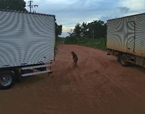 Idosa de 104 anos morre ap�s ser atingida por caminh�o em manobra de r� em V�rzea Grande
