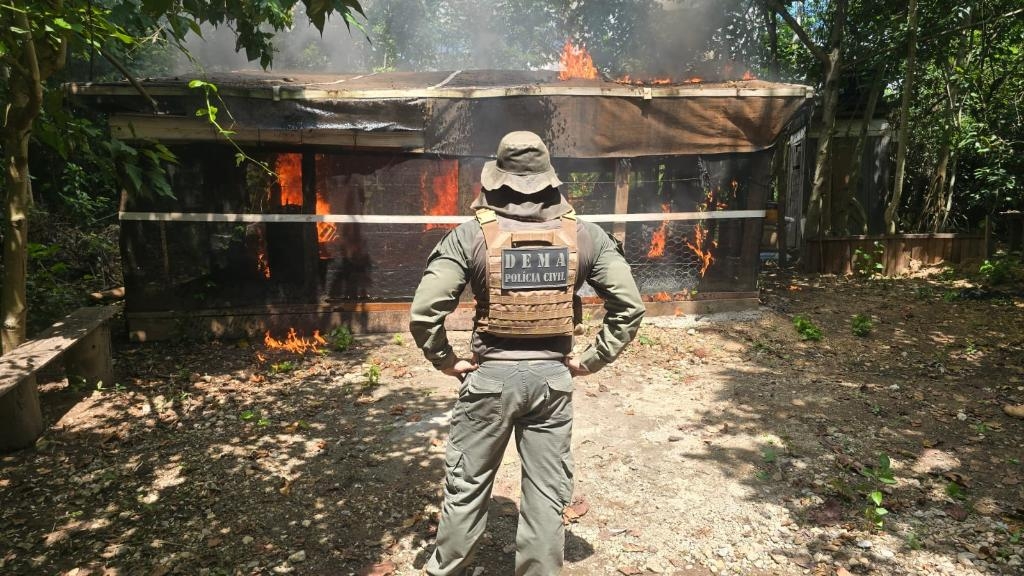 Opera��o resulta em pris�es por crime ambiental e demoli��es de constru��es irregulares em �rea de Preserva��o Permanente