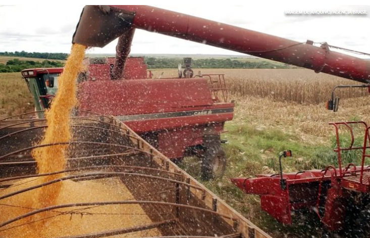 Safra de gr�os 2025/26 pode bater novo recorde e chegar a 356,3 milh�es de toneladas no Brasil