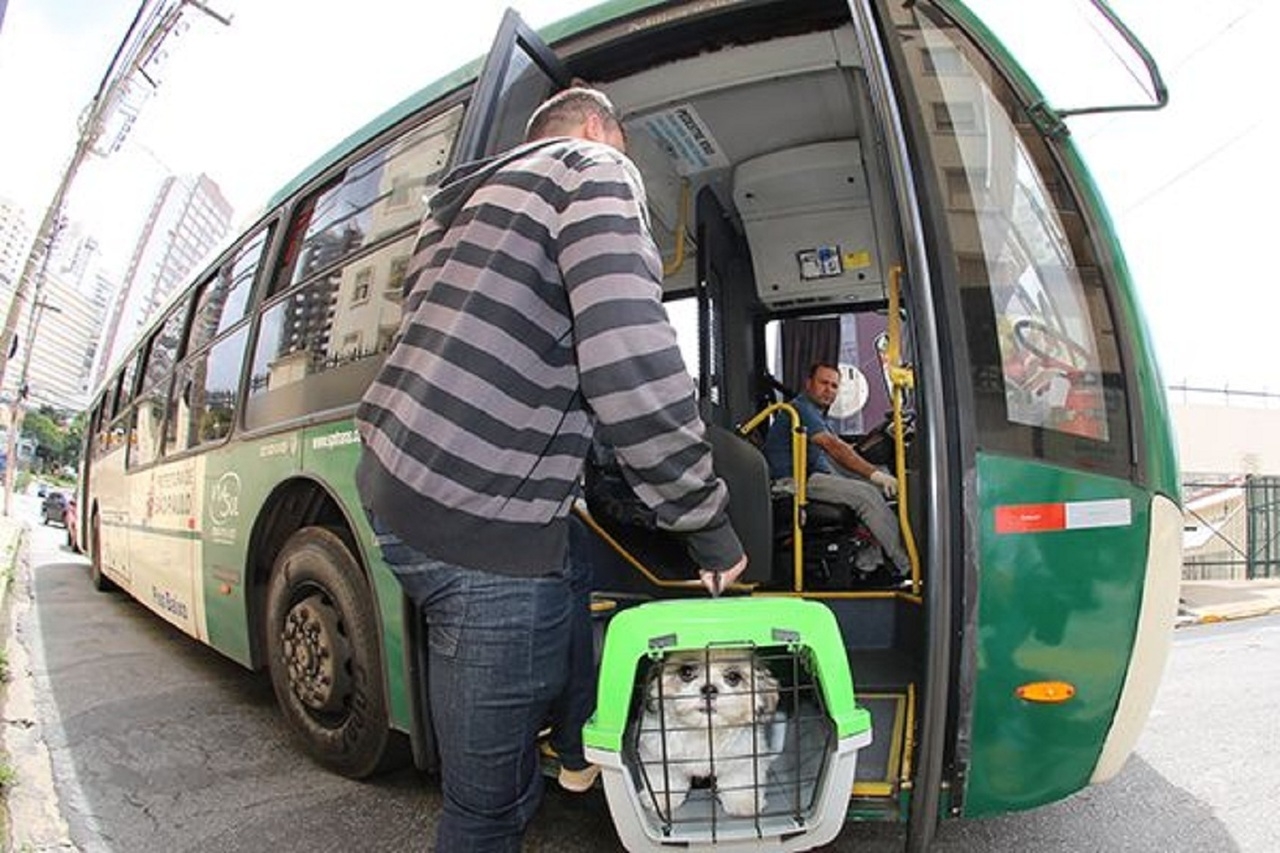 Ager-MT pro�be cobran�as extras e padroniza transporte de pets em �nibus intermunicipais